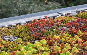 the cost of Easington Colliery green roof installation