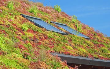 Easington Colliery living roof systems