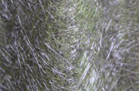 Easington Colliery fibreglass roof work